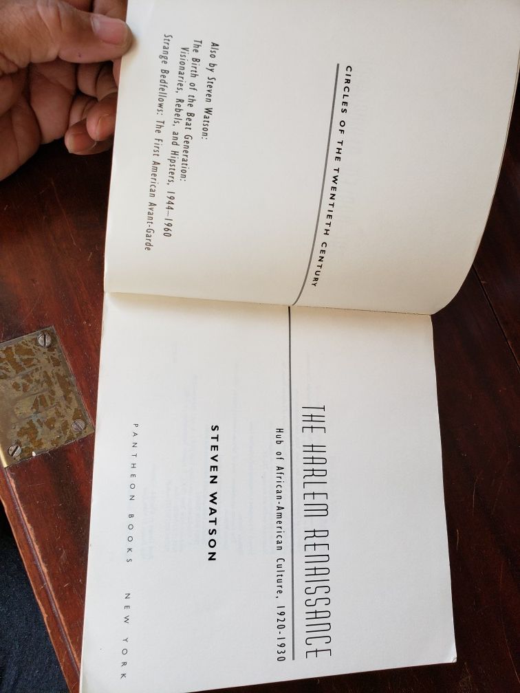 The Harlem Renaissance - photo 5