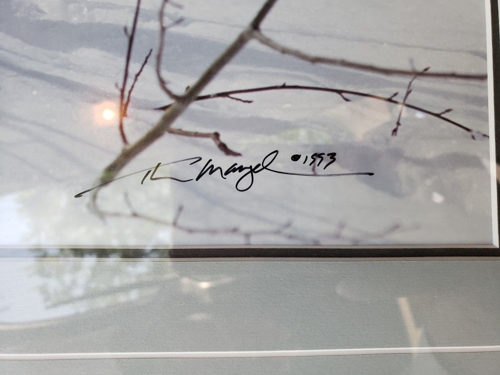Art work - photo 3