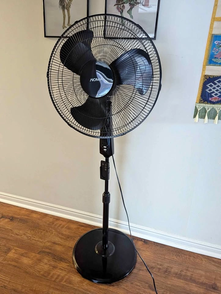 Pedestal fan