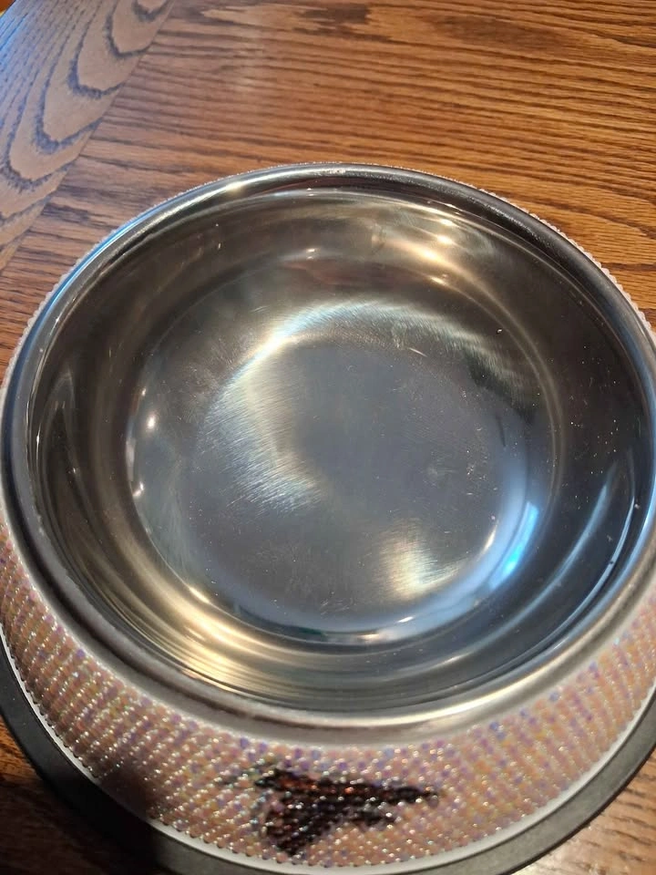 The Memory Company NFL Falcons Bling Pet Bowl - Never Used - photo 3
