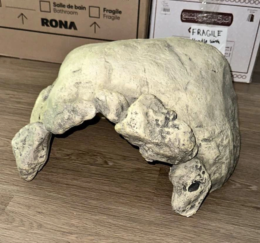 Extra Large Faux Rock Reptile Hide