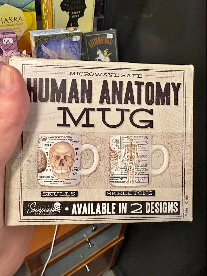 NIB human anatomy mug (skull version)