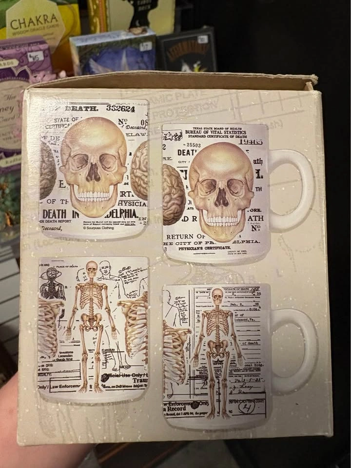NIB human anatomy mug (skull version) - photo 2
