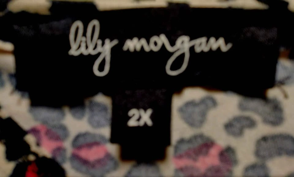 Lily Morgan Leopard Print Dress Size 2X - photo 4
