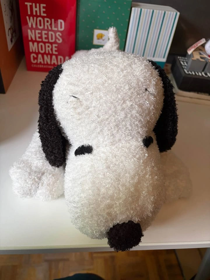 Miniso Snoopy Plush BNWT - photo 2