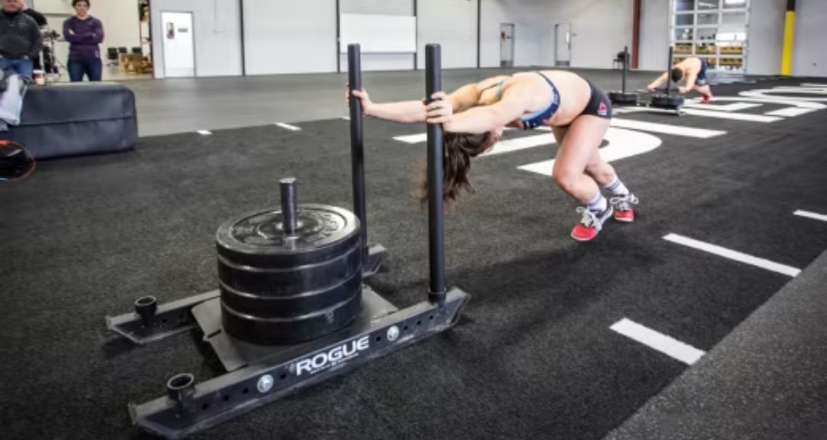 Rogue Fitness Dog Sled - photo 4