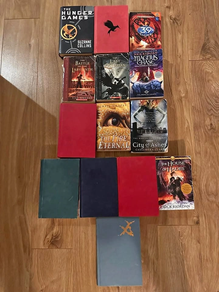 Random Assortment of 14 YA / Fantasy Books