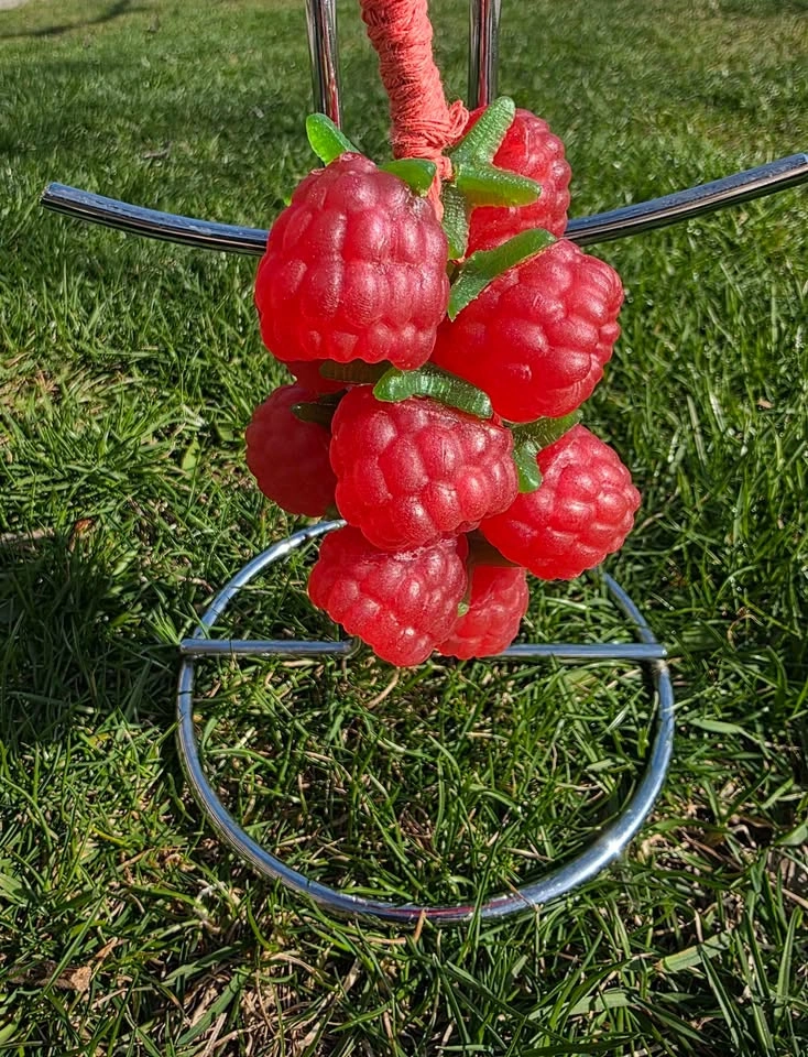 Raspberry soap on a rope - photo 2