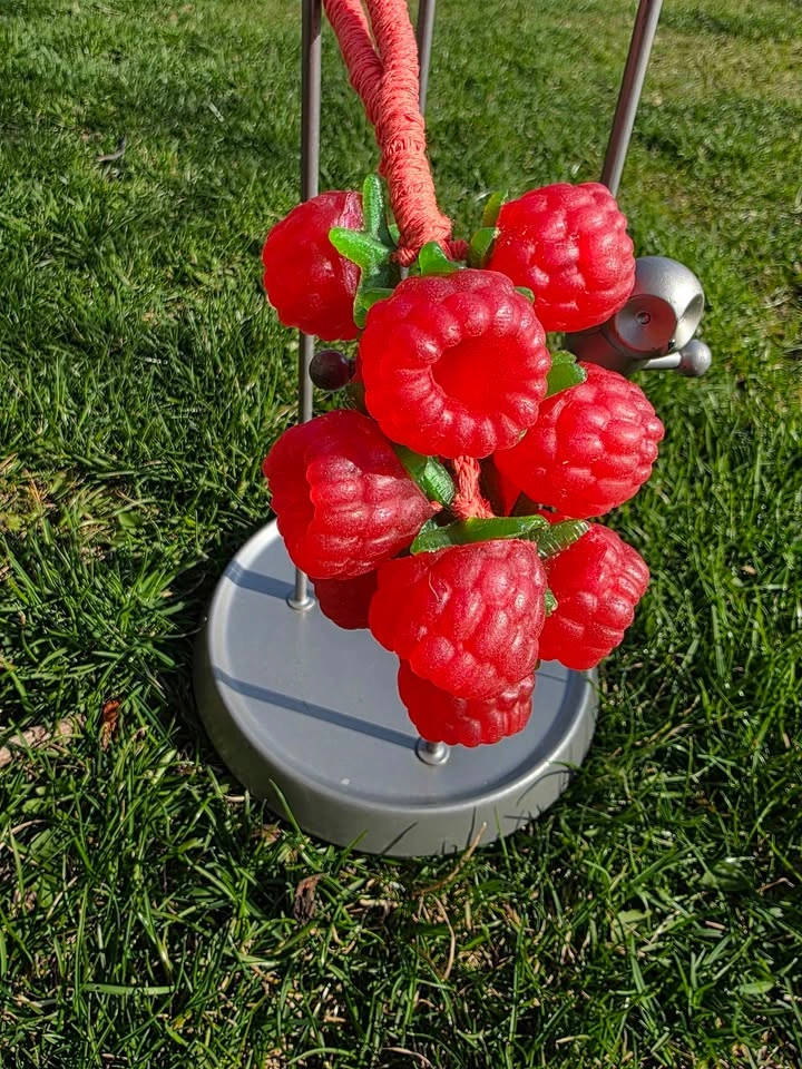 Raspberry soap on a rope - photo 3
