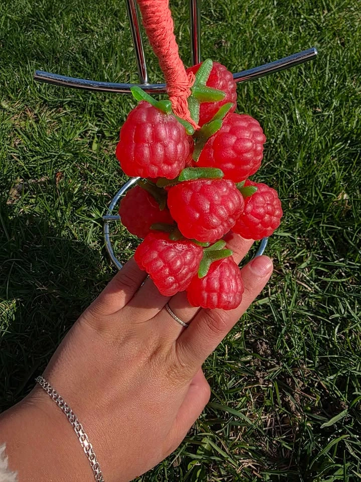 Raspberry soap on a rope - photo 4