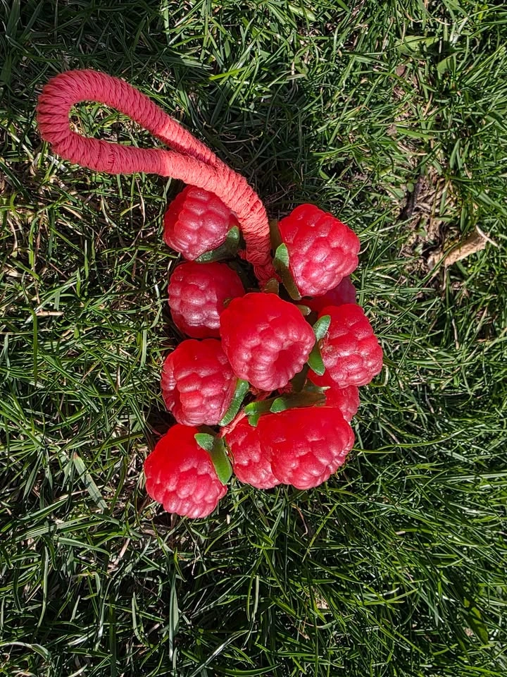Raspberry soap on a rope - photo 5
