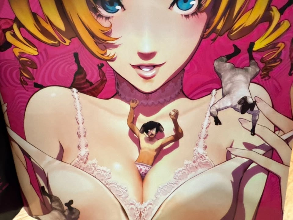Catherine Soundtrack and Artbook - photo 2