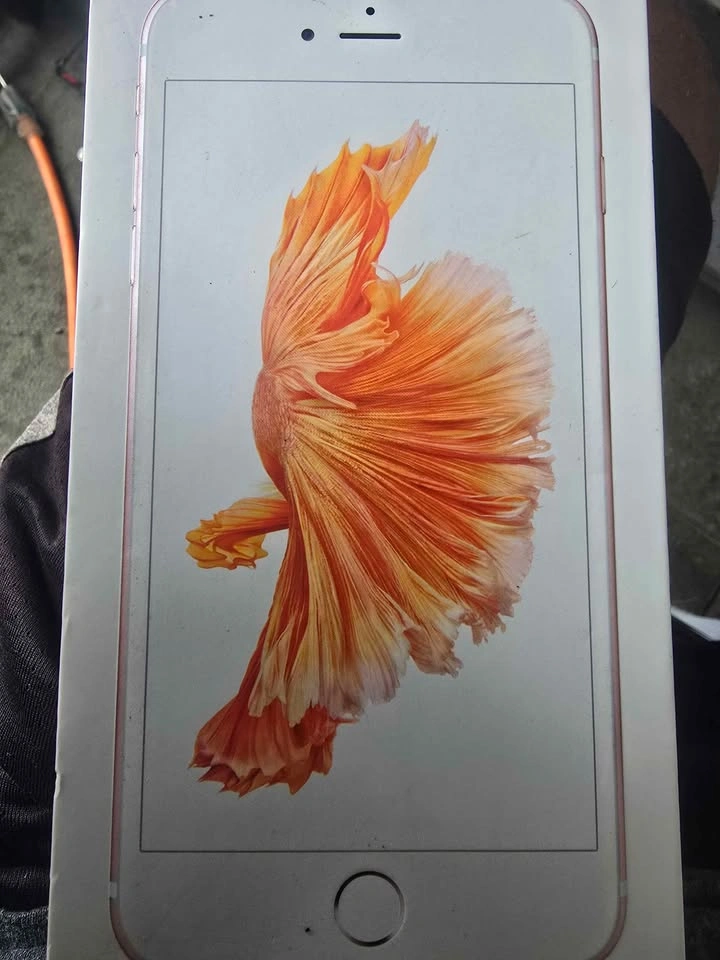 iPhone 6s Plus - photo 2