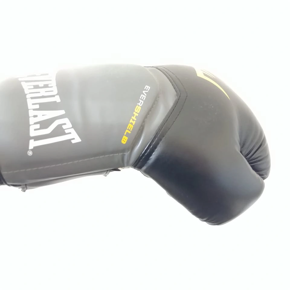 Everlast Boxing Gloves (Brand new)
