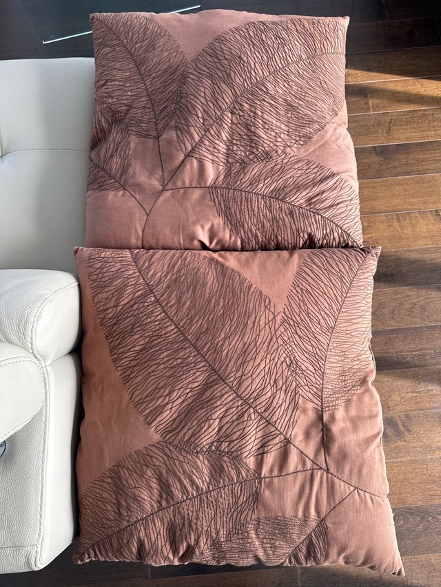 Couch Cushions