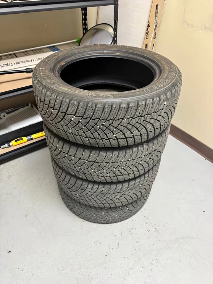 Motomaster Winter Edge II