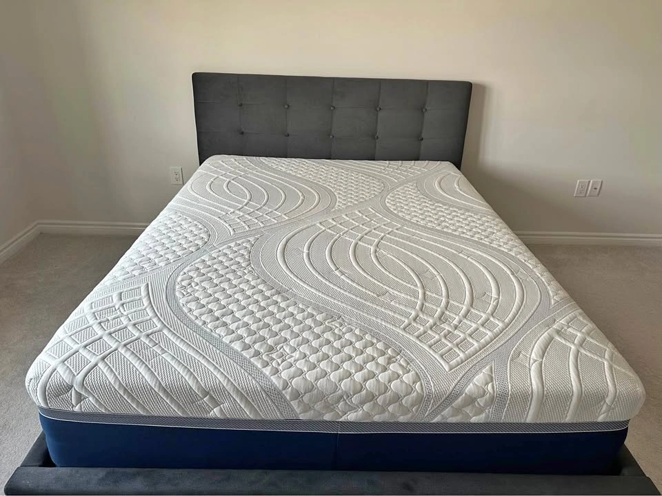 Move out sale - Structube Queen Bed Frame