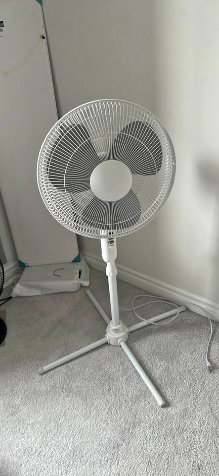 White Pedestal Fan