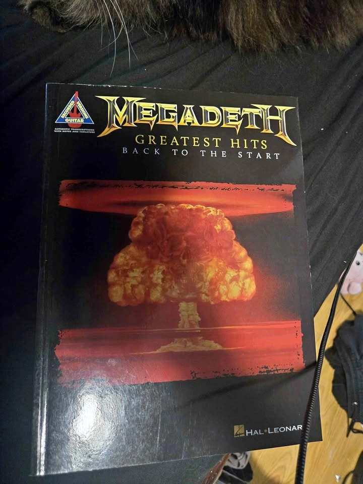 Megadeth back to the start tab book