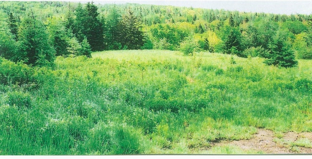 GREAT DEAL! Land for Sale - photo 2