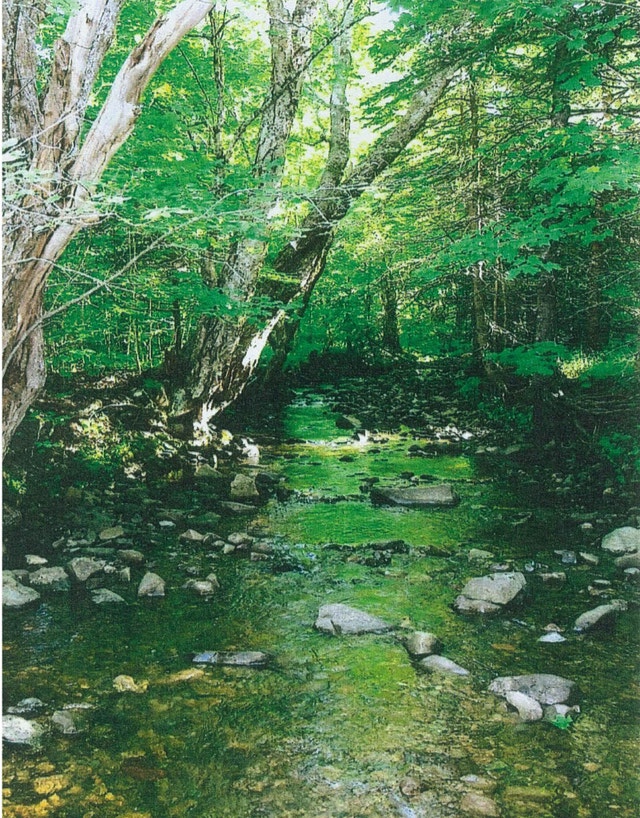 GREAT DEAL! Land for Sale - photo 3