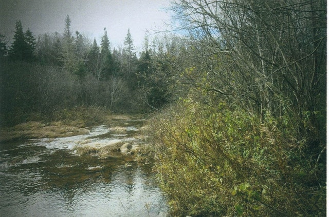 GREAT DEAL! Land for Sale - photo 4