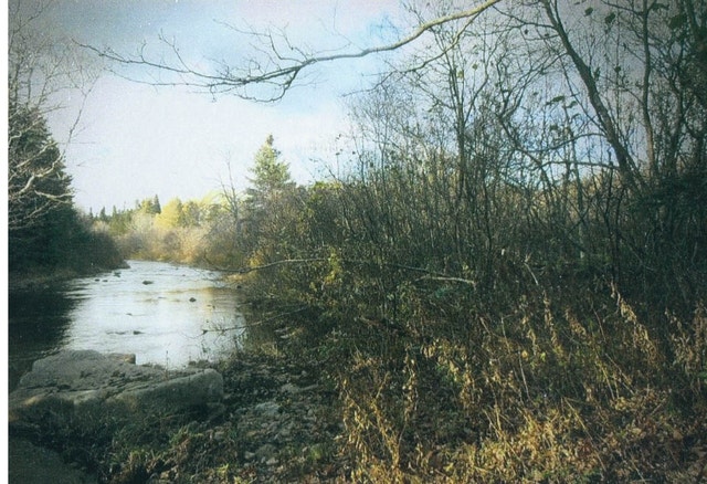 GREAT DEAL! Land for Sale - photo 5