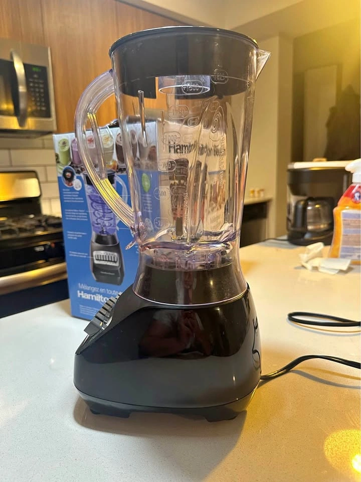 Hamilton Beach 10-Speed Smoothie Blender (with original box)