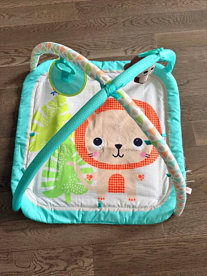Bright Starts Baby play mat