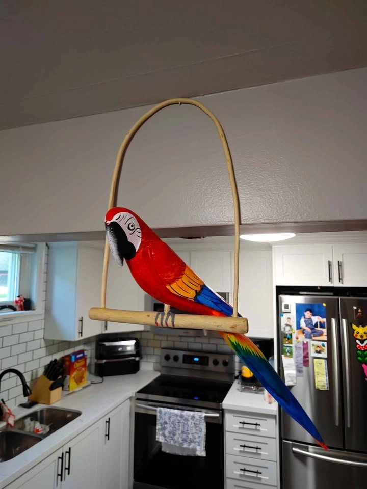 Vintage 90's Handmade/Hand Painted Wooden Parrot - photo 5