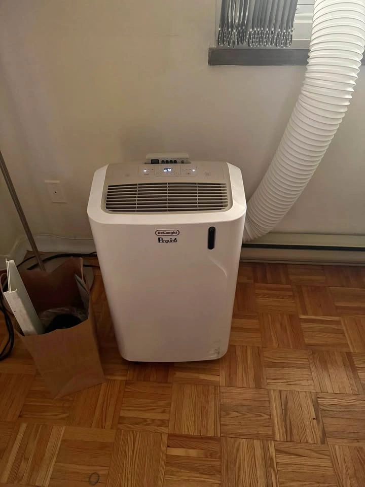 De'Longhi Pinguino Portable Air Conditioner