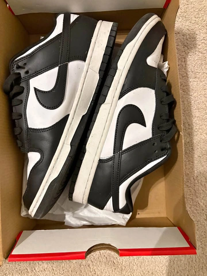 Nike Dunk Low Retro