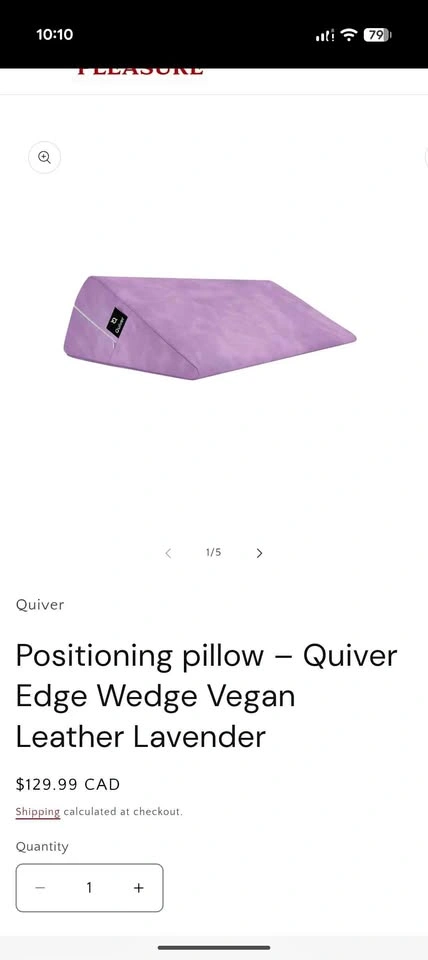 Quiver Edge Wedge Positioning Pillow