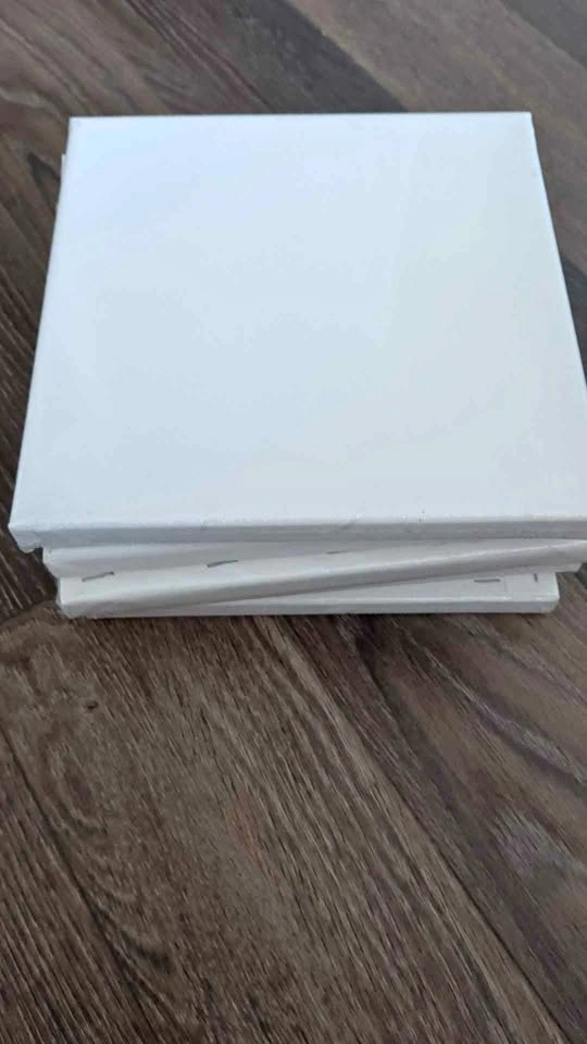 Set of 6 Blank White Painting Canvases