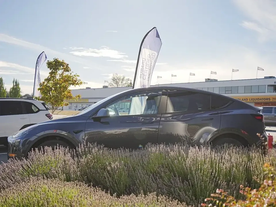 2024 Tesla Model Y Long Range - photo 4