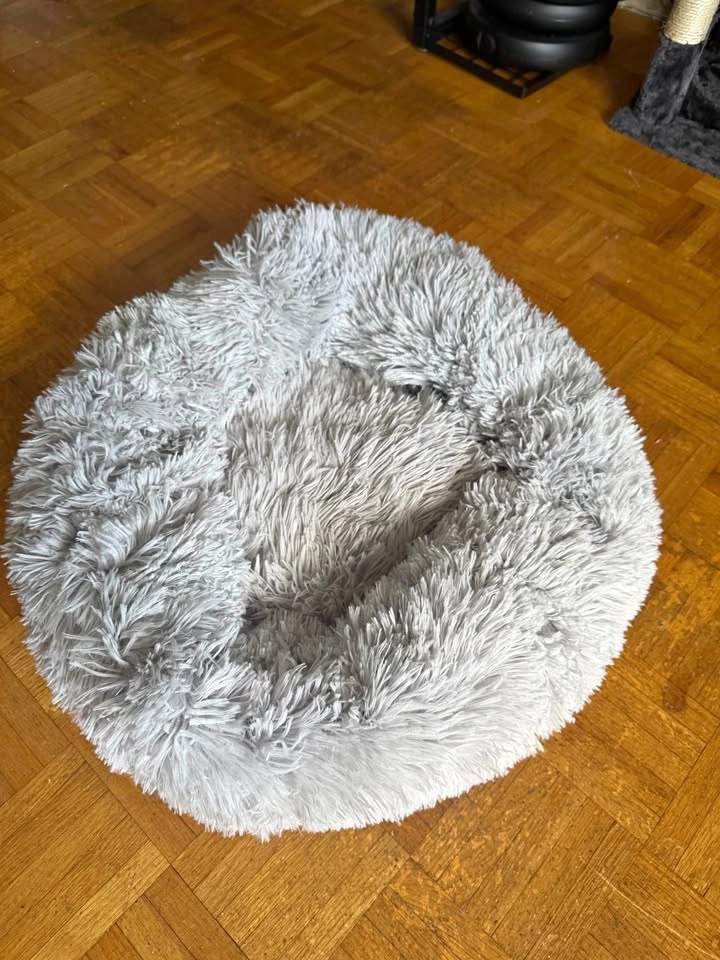small dog bed