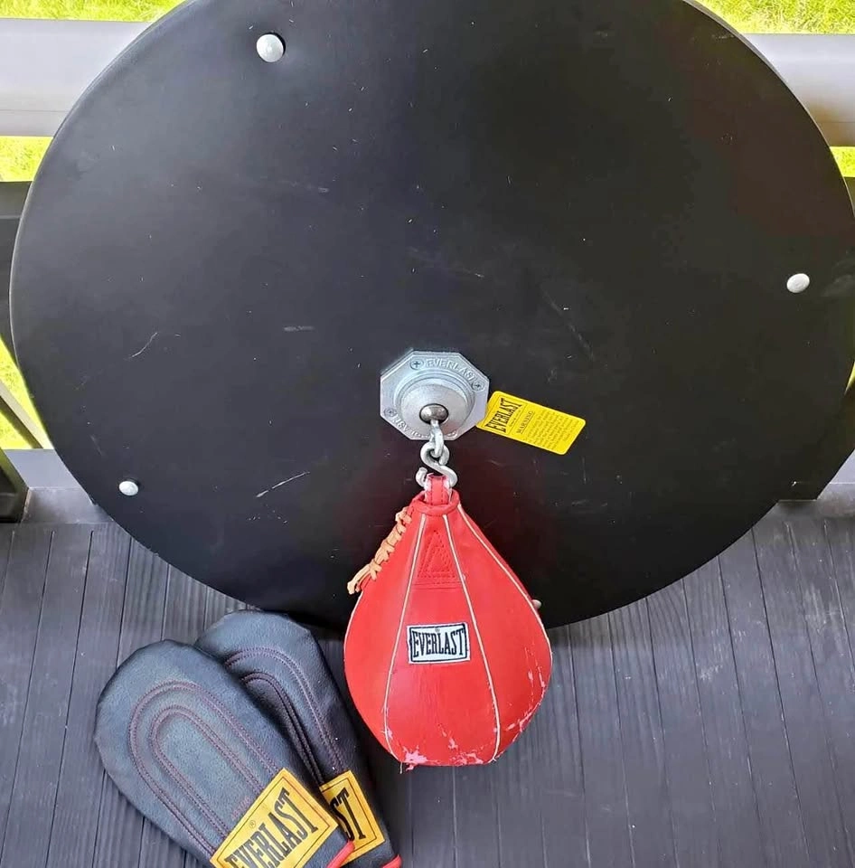 Everlast Speed Bag and Platform