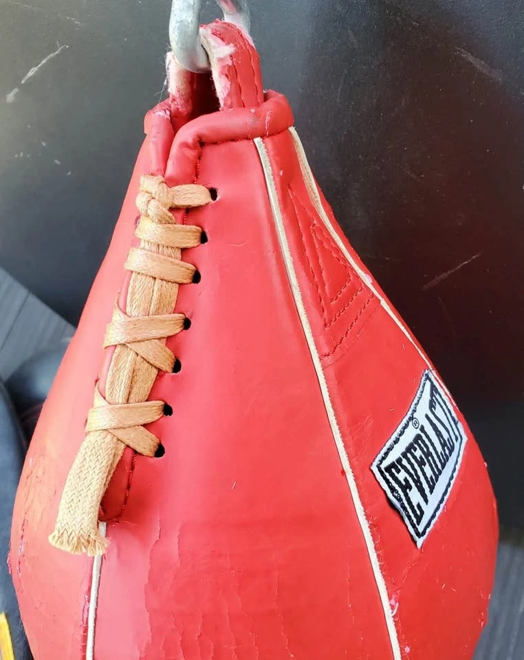 Everlast Speed Bag and Platform - photo 3