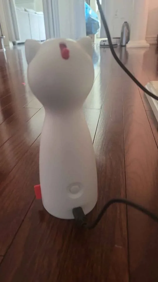 🧡  Cat laser automatic image indicator(3)