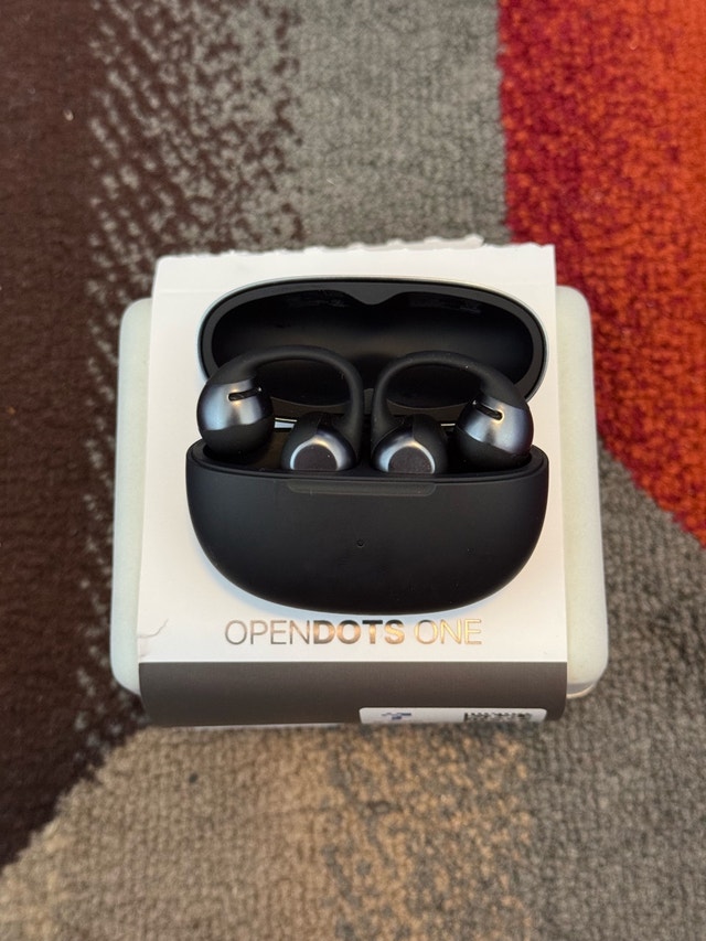 Shokz OpenDots 1
