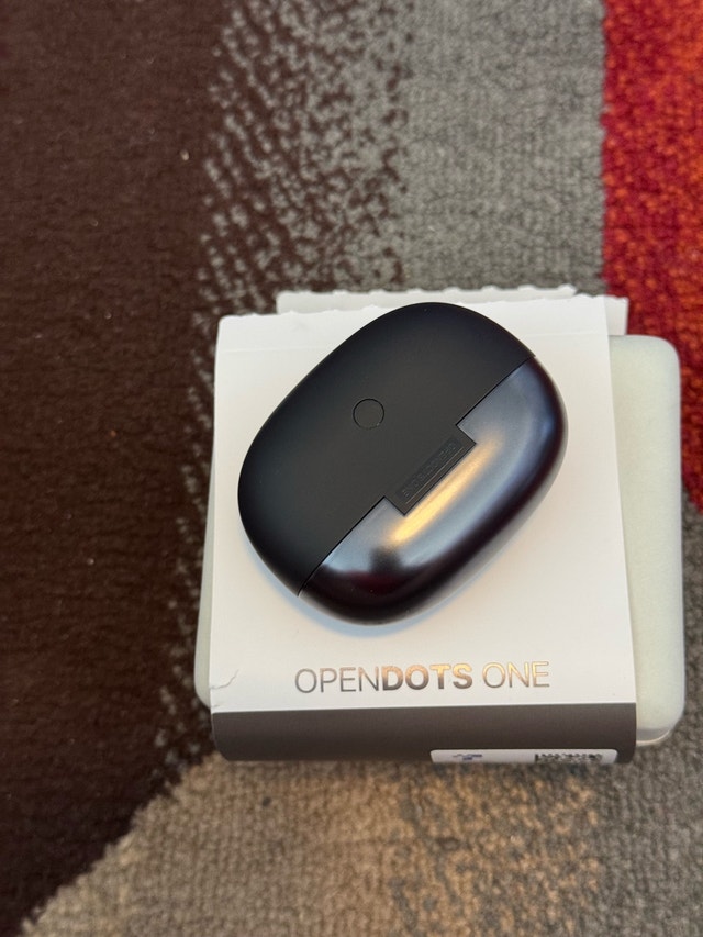 Shokz OpenDots 1 - photo 2