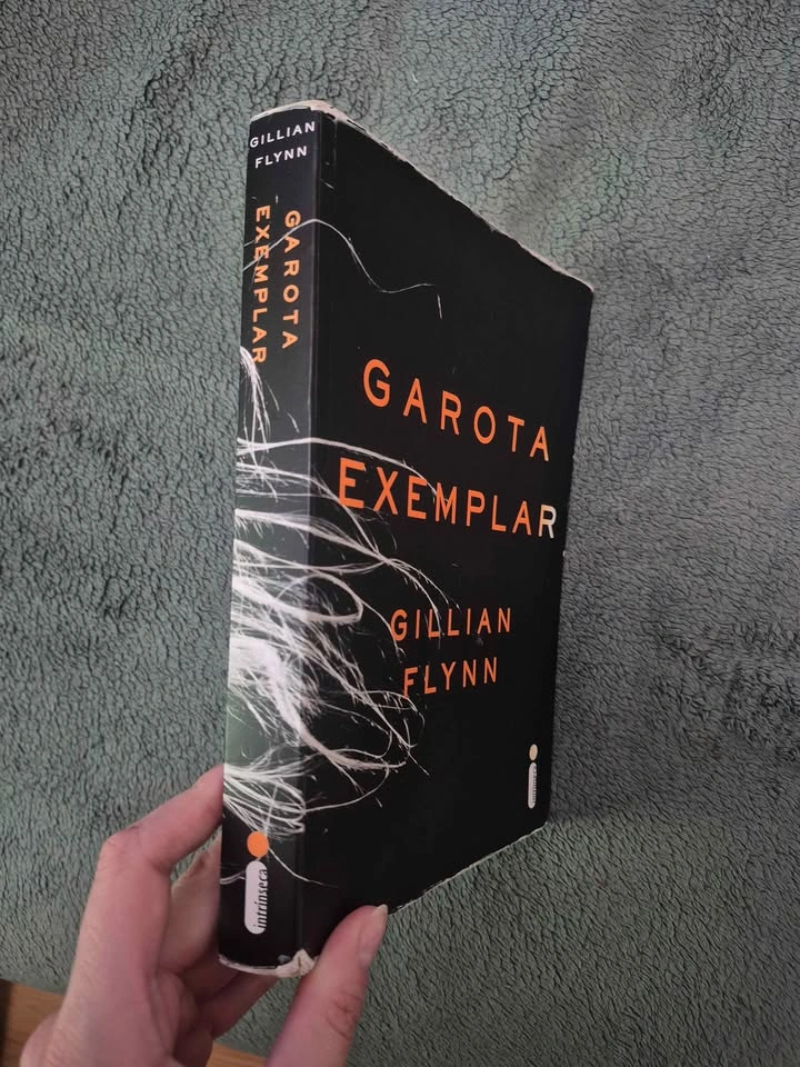 Garota Exemplar - Gillian Flynn - photo 2