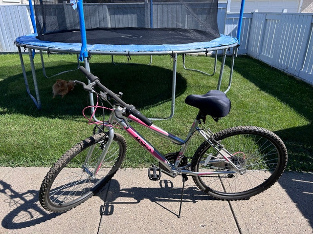 Movelo Algonquin Mountain Bike - photo 2