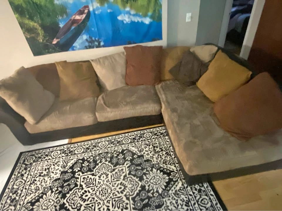 Large L-Shaped Sectional Couch with Chaise – $200