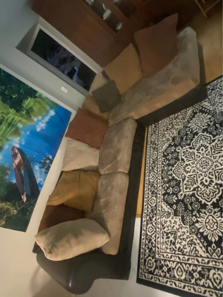 Large L-Shaped Sectional Couch with Chaise – $200 - photo 2