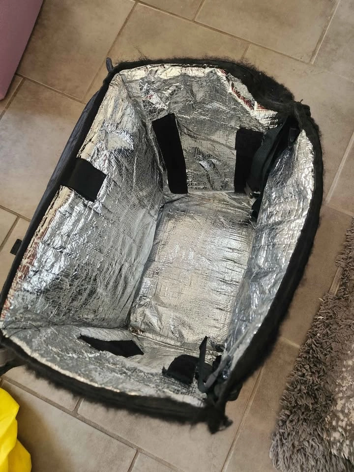 Insulated Food Delivery Backpack – Black - photo 2
