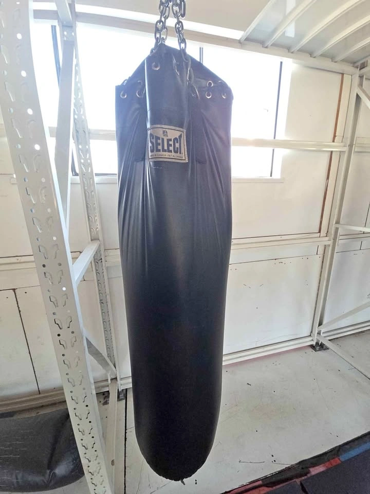 Heavy Bags - Select, UFC, Drako, RDX ($25 each)