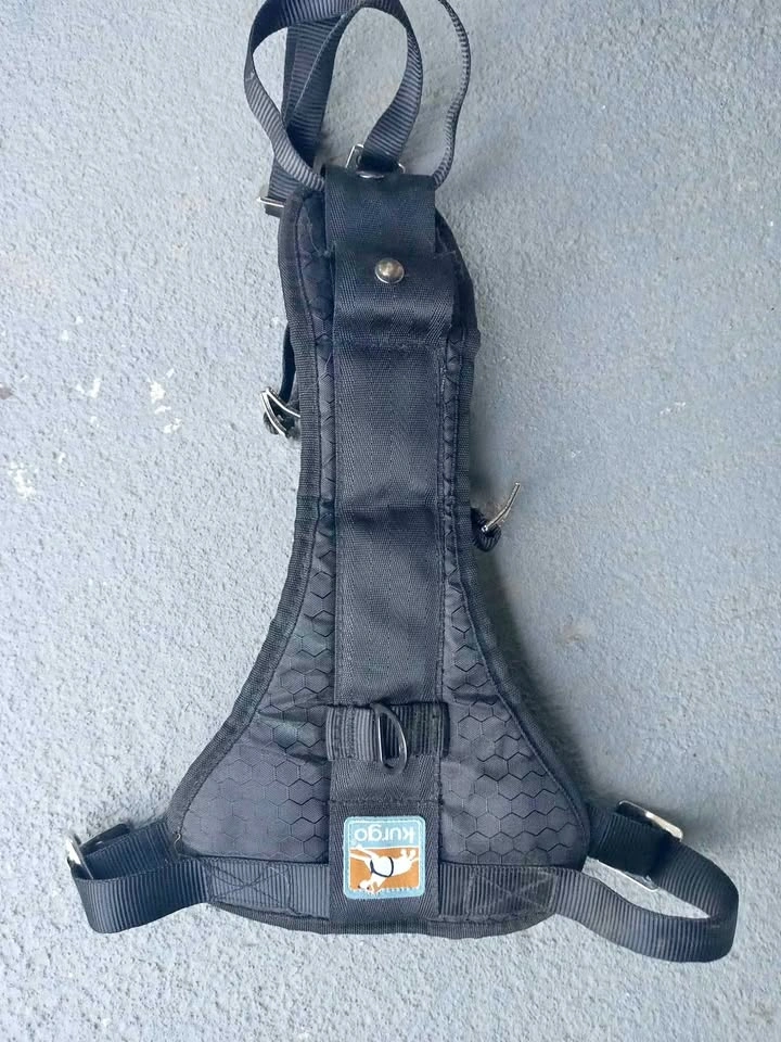 XL Kurgo dog harness
