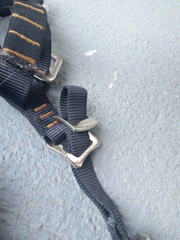 XL Kurgo dog harness - photo 4