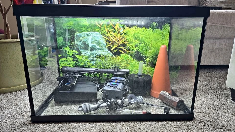 25gal Aquariums